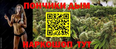 хмурый Бердск