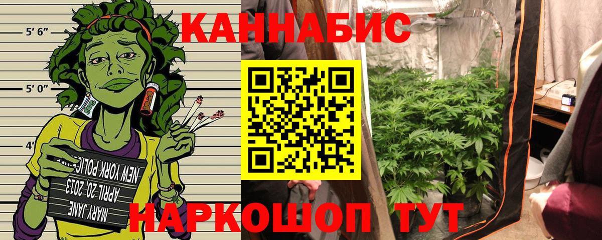 Бошки марихуана сатива Вышний Волочёк